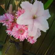 ヒメ日記 2026/01/04 18:16 投稿 笹木 MCロイヤル