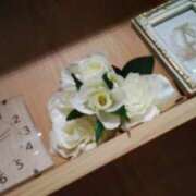 ヒメ日記 2026/01/06 18:16 投稿 笹木 MCロイヤル