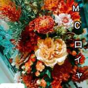 ヒメ日記 2026/01/13 07:36 投稿 笹木 MCロイヤル