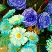 ヒメ日記 2026/01/16 16:06 投稿 笹木 MCロイヤル