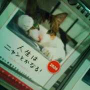 ヒメ日記 2026/02/03 07:46 投稿 笹木 MCロイヤル