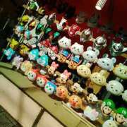 ヒメ日記 2026/02/06 13:16 投稿 笹木 MCロイヤル