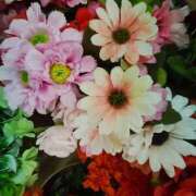 ヒメ日記 2026/02/07 07:46 投稿 笹木 MCロイヤル