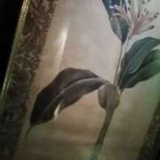 ヒメ日記 2026/02/08 07:36 投稿 笹木 MCロイヤル