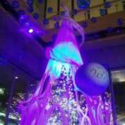 ヒメ日記 2026/02/12 07:46 投稿 笹木 MCロイヤル