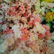 ヒメ日記 2026/02/19 08:26 投稿 笹木 MCロイヤル