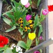 ヒメ日記 2026/02/26 18:26 投稿 笹木 MCロイヤル