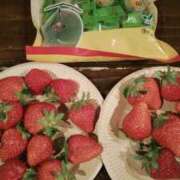 ヒメ日記 2026/02/28 06:16 投稿 笹木 MCロイヤル