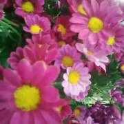 ヒメ日記 2026/03/03 08:36 投稿 笹木 MCロイヤル