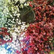 ヒメ日記 2026/03/05 18:06 投稿 笹木 MCロイヤル