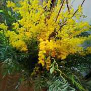 ヒメ日記 2026/03/08 17:26 投稿 笹木 MCロイヤル