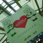 ヒメ日記 2026/03/14 09:46 投稿 笹木 MCロイヤル