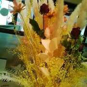 ヒメ日記 2026/03/25 10:16 投稿 笹木 MCロイヤル