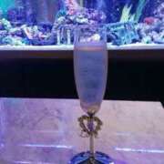 ヒメ日記 2026/03/30 20:26 投稿 笹木 MCロイヤル