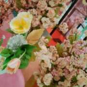 ヒメ日記 2026/04/09 09:56 投稿 笹木 MCロイヤル