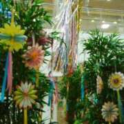 ヒメ日記 2026/04/11 11:16 投稿 笹木 MCロイヤル