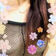 ヒメ日記 2026/04/07 13:17 投稿 あんず 熟女家 梅田店