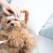 ヒメ日記 2026/01/10 10:56 投稿 吉永のぞみ イエスグループ熊本 華女