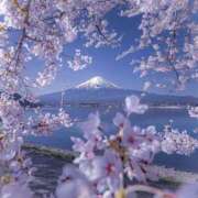 ヒメ日記 2025/12/28 19:04 投稿 あさみ 熟女ばかり