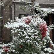 ヒメ日記 2026/02/08 10:44 投稿 あさみ 熟女ばかり