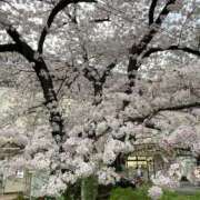 ヒメ日記 2026/02/25 21:52 投稿 あさみ 熟女ばかり