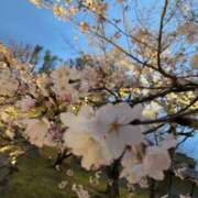 ヒメ日記 2026/03/02 00:30 投稿 あさみ 熟女ばかり