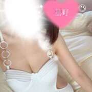 ヒメ日記 2025/09/06 22:45 投稿 星野(ほしの) ユカノモリ