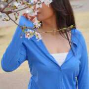 ヒメ日記 2026/04/02 07:31 投稿 安斎百合子 プレジデントクラブ