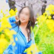 ヒメ日記 2026/04/14 07:16 投稿 安斎百合子 プレジデントクラブ