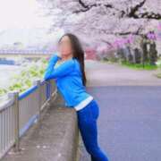 ヒメ日記 2026/04/19 09:08 投稿 安斎百合子 プレジデントクラブ