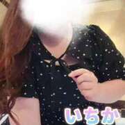 ヒメ日記 2025/09/25 12:16 投稿 いちか One More 奥様　西船橋店