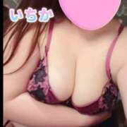 ヒメ日記 2025/12/02 10:17 投稿 いちか One More 奥様　西船橋店