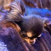 ヒメ日記 2025/09/15 21:42 投稿 花園 あゆみ club eyes