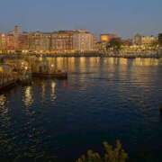 ヒメ日記 2025/12/20 11:58 投稿 花園 あゆみ club eyes