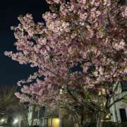 ヒメ日記 2026/03/01 12:10 投稿 ヒカル 完全技術系性感マッサージ レジェンド