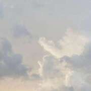 ヒメ日記 2025/09/29 22:21 投稿 田村あい ウルトラプラチナム