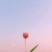 ヒメ日記 2025/10/17 10:41 投稿 田村あい ウルトラプラチナム