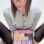 ヒメ日記 2025/11/15 12:16 投稿 とも 錦糸町ニューハーフヘルスAlice