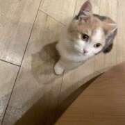 ヒメ日記 2025/11/09 15:08 投稿 生駒さや 五反田ヒーローズ（ユメオト）