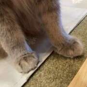 ヒメ日記 2025/12/21 03:09 投稿 生駒さや 五反田ヒーローズ（ユメオト）