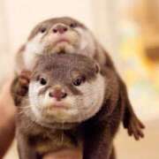 ヒメ日記 2026/01/04 01:50 投稿 生駒さや 五反田ヒーローズ（ユメオト）