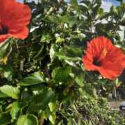 ヒメ日記 2025/09/30 17:45 投稿 ゆりか 待ちナビ