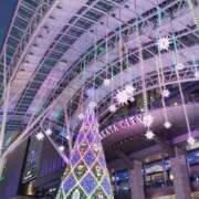 ヒメ日記 2025/11/19 03:00 投稿 ゆりか 待ちナビ