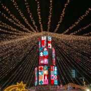 ゆりか 今晩は 待ちナビ