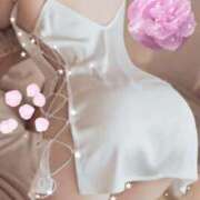 ヒメ日記 2026/02/15 04:14 投稿 瑠依(るい) PLUS難波店