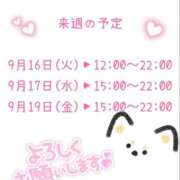 ヒメ日記 2025/09/11 08:01 投稿 黒崎 しずか SUMIRE