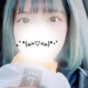 イオ 出勤☀️✨️ バニーコレクション秋田店