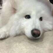 ヒメ日記 2025/09/16 01:41 投稿 ゆりな SPIN(スピン)