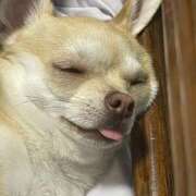 ヒメ日記 2025/09/17 05:40 投稿 ゆりな SPIN(スピン)