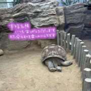 ヒメ日記 2025/09/28 02:20 投稿 ゆりな SPIN(スピン)